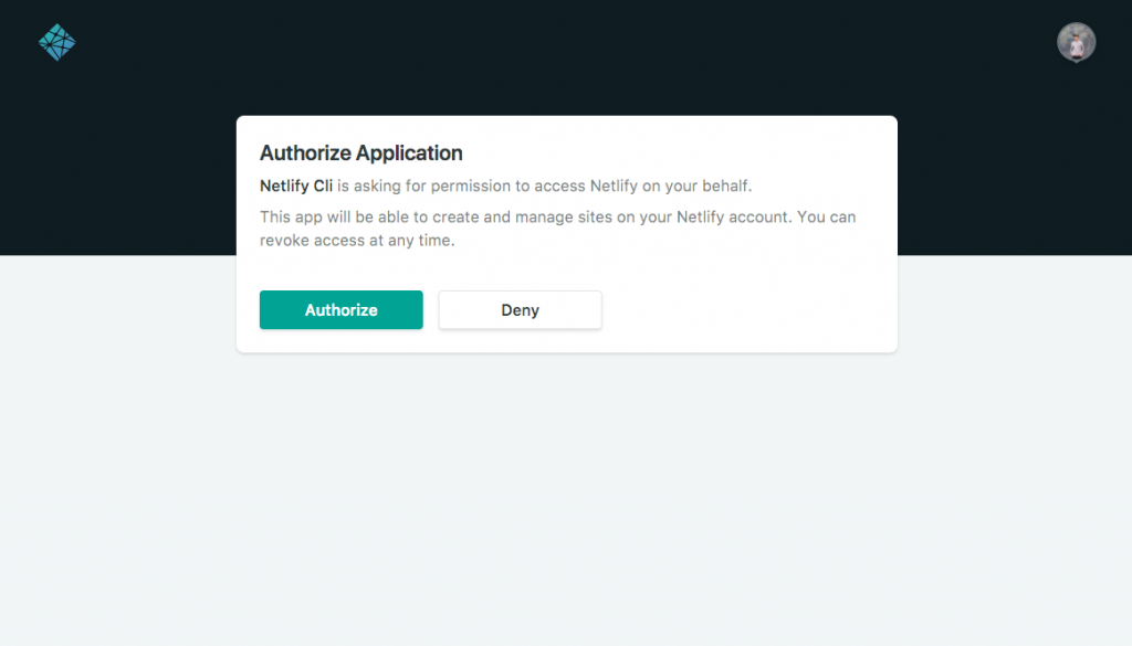 Netlify Auth Grant