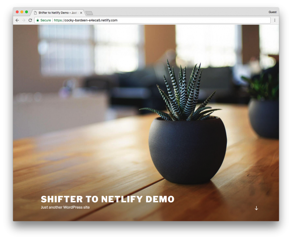 Shifter Netlify Demo